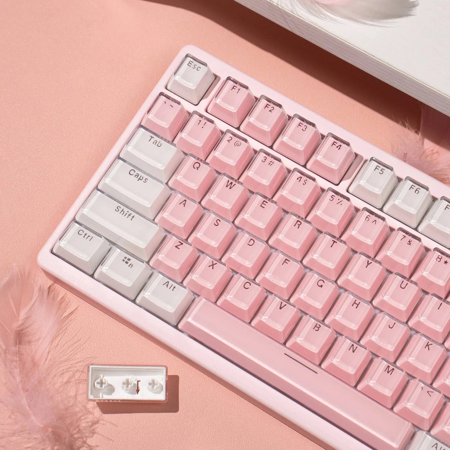 Teclado Jelly Rosa & Branco 123 Teclas 🍓